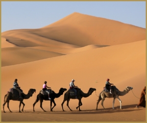 7 Days tour from Casablanca thru the big desert dunes