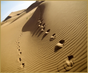 4 days Casablanca to Cheagaga desert tour