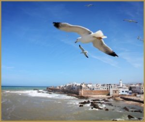 13 Days tour to desert and ocean coast from Casablanca