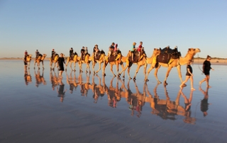 13 Days tour to desert and ocean coast from Casablanca