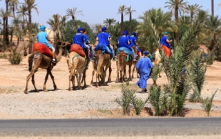 Camel ride in Marrakech,everyday palmeries camel ride Marrakech