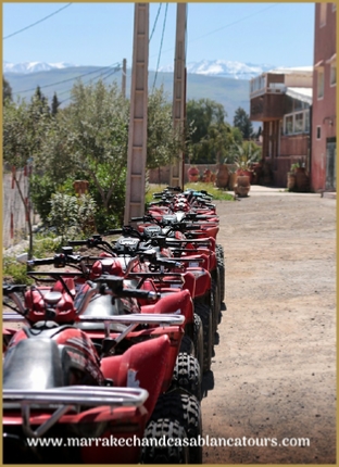 Quad and buggy ride in Marrakech Lalla Takarkust,guided Marrakech Palmerie quad adventure