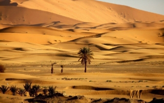 private 6 days Casablanca tour to Merzouga desert - Around Morocco travel