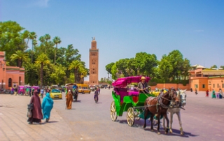 Marrakech walking day trip,private excursion in medina of Marrakech