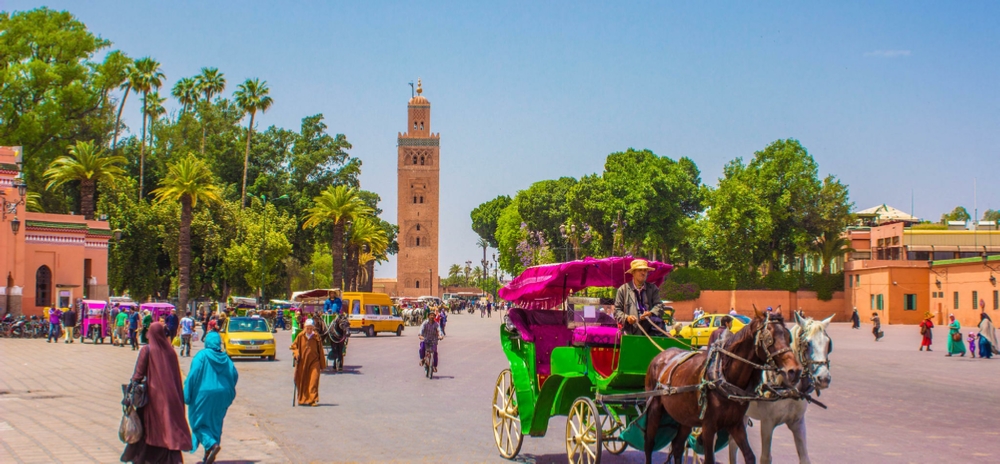 Marrakech walking day trip,private excursion in medina of Marrakech