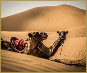 4 day tour from Marrakech to Merzouga desert